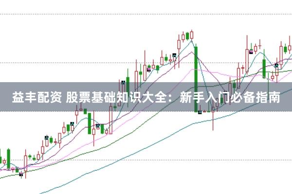 益丰配资 股票基础知识大全：新手入门必备指南