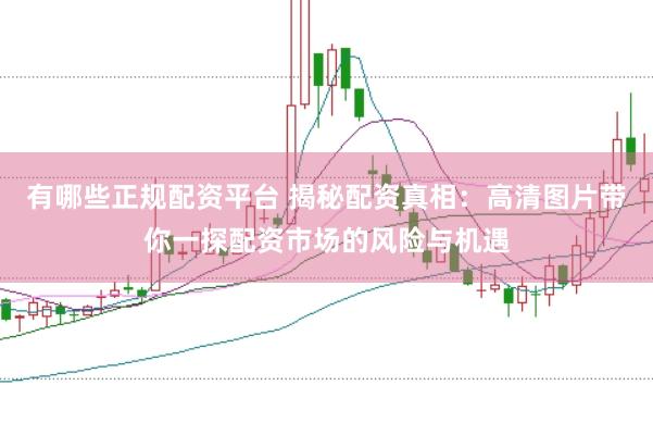 有哪些正规配资平台 揭秘配资真相：高清图片带你一探配资市场的风险与机遇