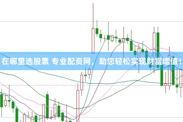 在哪里选股票 专业配资网，助您轻松实现财富增值！