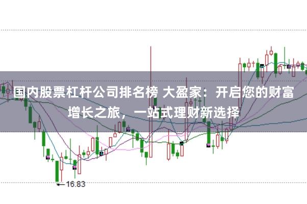 国内股票杠杆公司排名榜 大盈家：开启您的财富增长之旅，一站式理财新选择