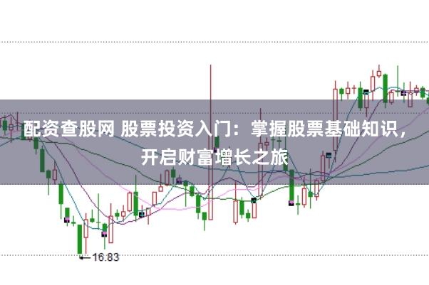 配资查股网 股票投资入门：掌握股票基础知识，开启财富增长之旅