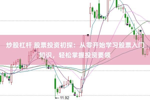 炒股杠杆 股票投资初探：从零开始学习股票入门知识，轻松掌握投资要领