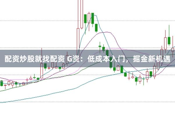 配资炒股就找配资 G资：低成本入门，掘金新机遇
