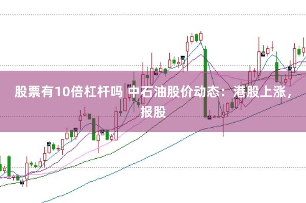 股票有10倍杠杆吗 中石油股价动态：港股上涨，报股