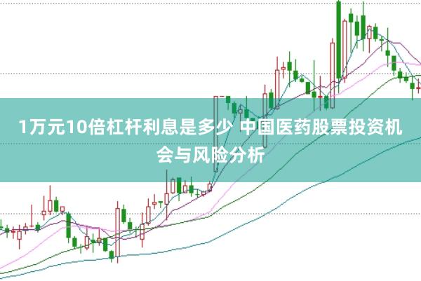 1万元10倍杠杆利息是多少 中国医药股票投资机会与风险分析