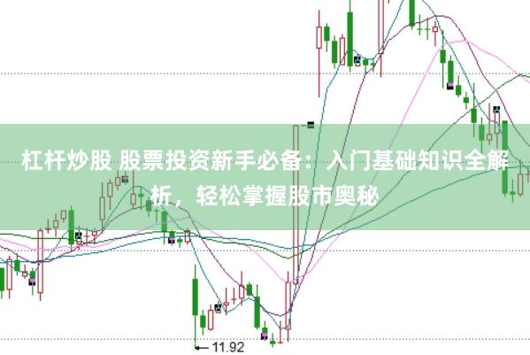 杠杆炒股 股票投资新手必备：入门基础知识全解析，轻松掌握股市奥秘
