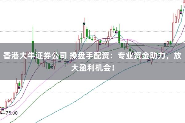 香港大牛证券公司 操盘手配资：专业资金助力，放大盈利机会！