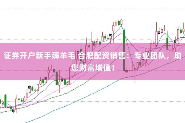 证券开户新手薅羊毛 合肥配资销售：专业团队，助您财富增值！