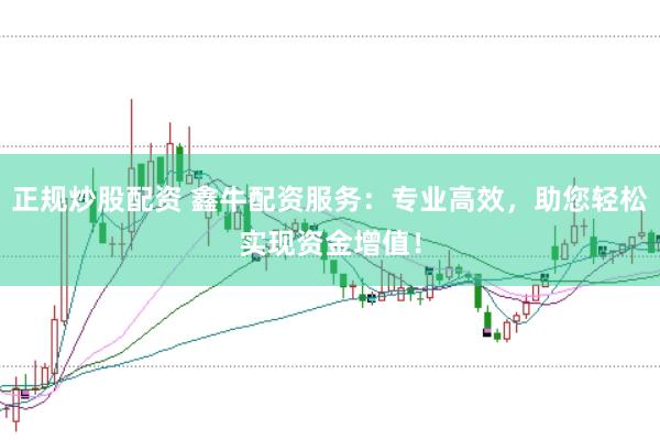 正规炒股配资 鑫牛配资服务：专业高效，助您轻松实现资金增值！