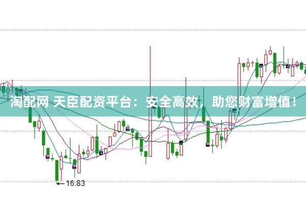 淘配网 天臣配资平台：安全高效，助您财富增值！