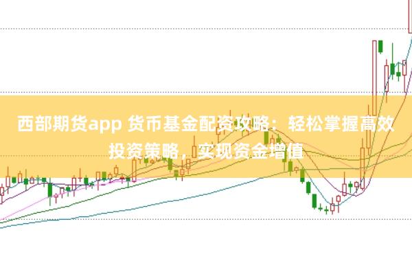 西部期货app 货币基金配资攻略：轻松掌握高效投资策略，实现资金增值