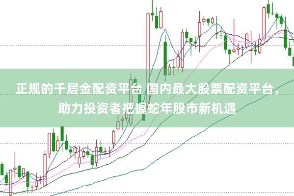 正规的千层金配资平台 国内最大股票配资平台，助力投资者把握蛇年股市新机遇