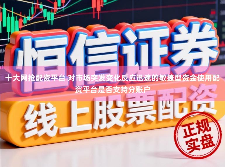 十大网抢配资平台 对市场突发变化反应迅速的敏捷型资金使用配资平台是否支持分账户